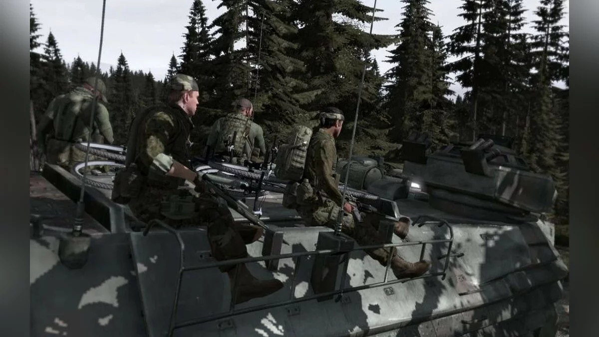 Скриншоты из ArmA 2 / Картинка 136