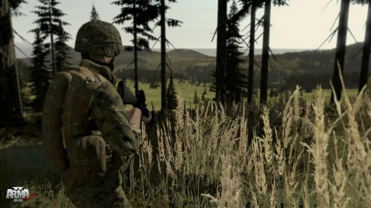 Скриншоты из ArmA 2 / Картинка 137