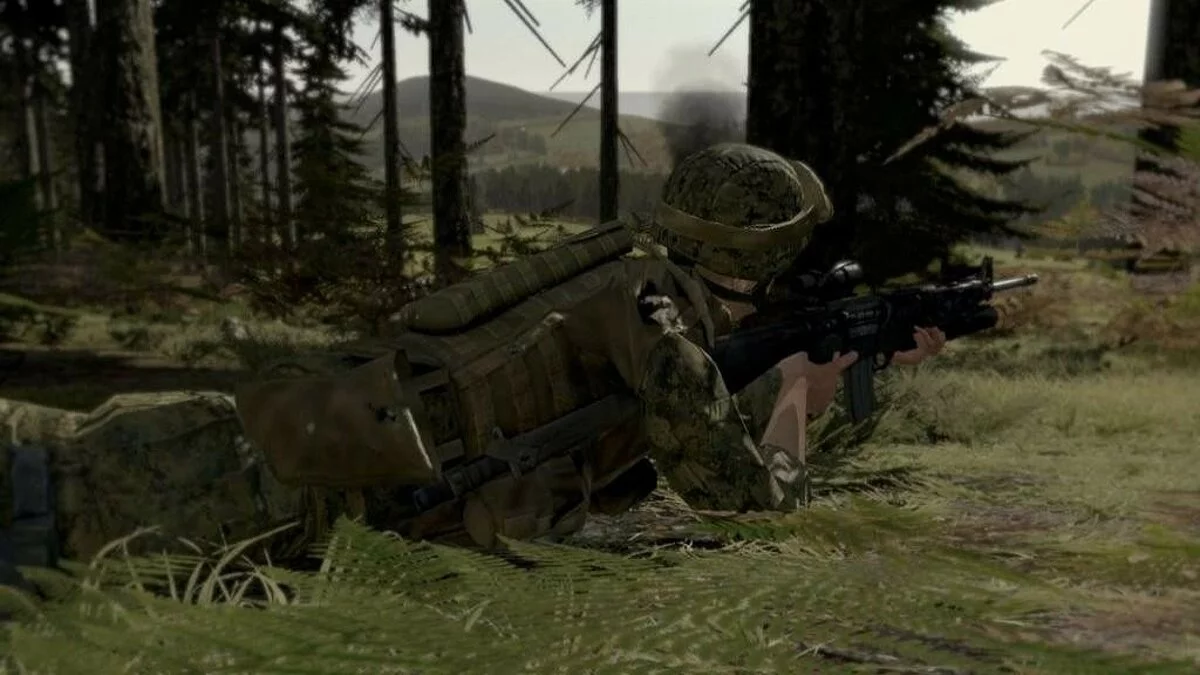 Скриншоты из ArmA 2 / Картинка 138