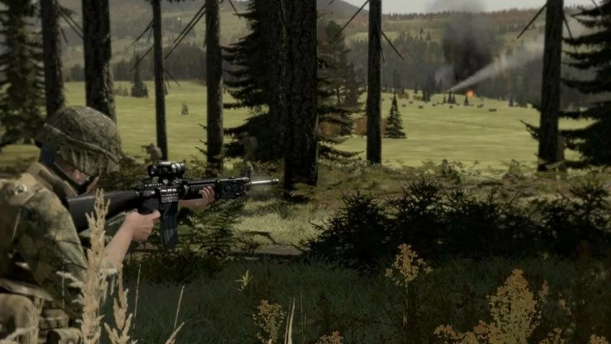 Скриншоты из ArmA 2 / Картинка 148