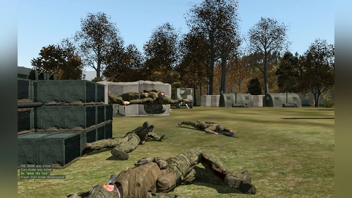 Скриншоты из ArmA 2 / Картинка 161