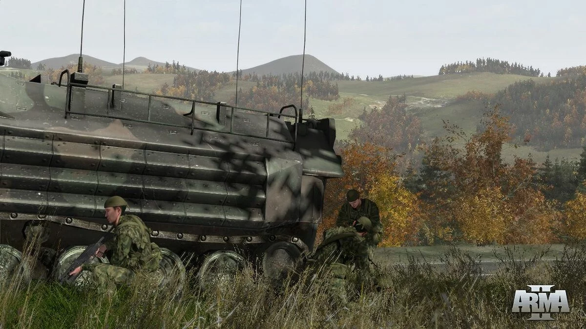Скриншоты из ArmA 2 / Картинка 25