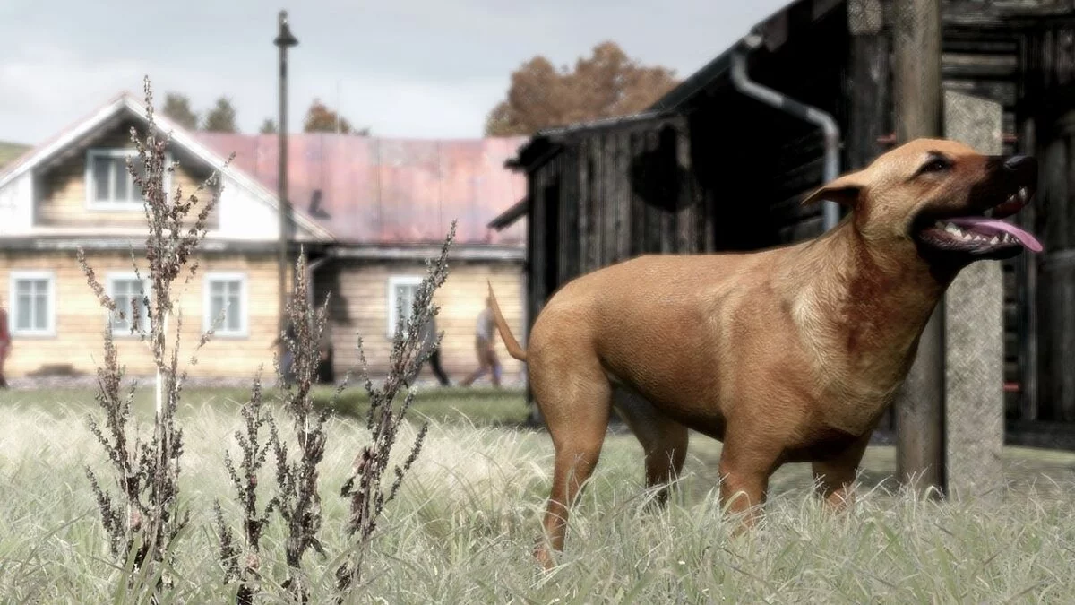 Скриншоты из ArmA 2 / Картинка 34