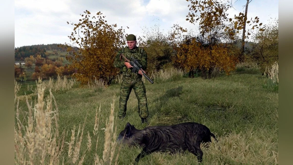 Скриншоты из ArmA 2 / Картинка 44