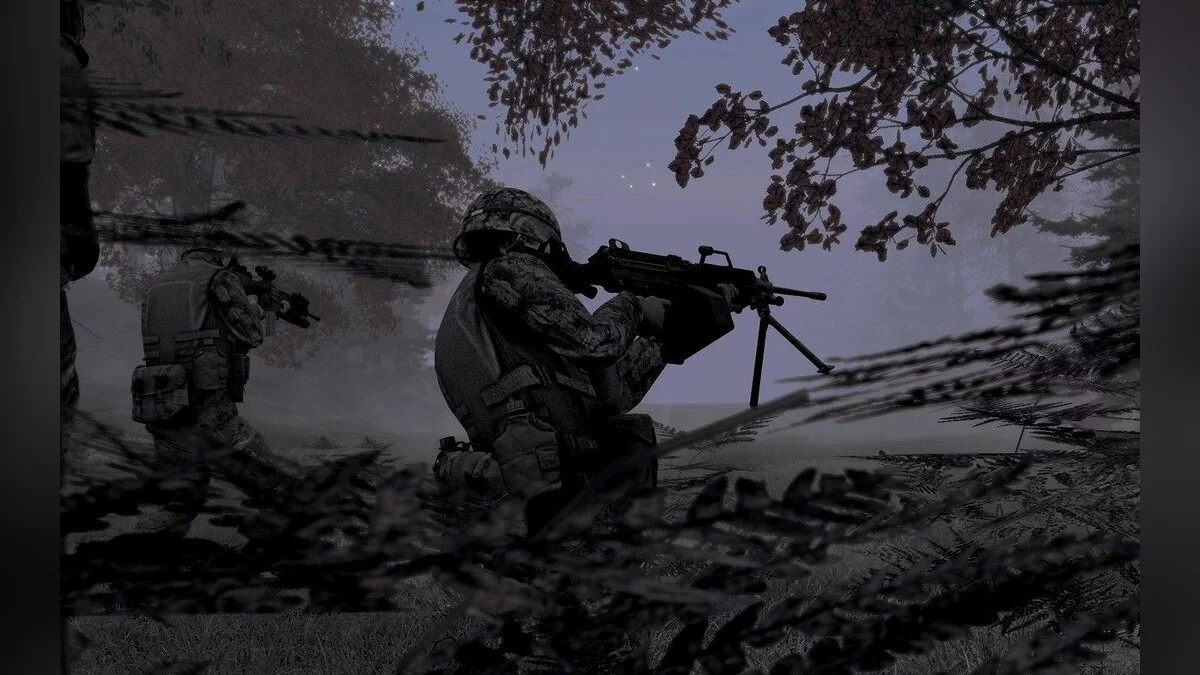 Скриншоты из ArmA 2 / Картинка 47