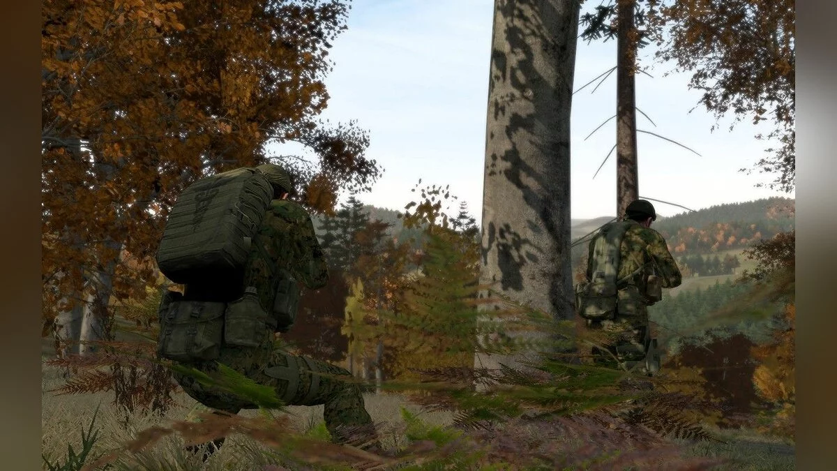 Скриншоты из ArmA 2 / Картинка 59