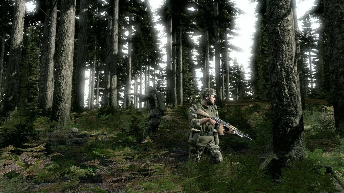 Скриншоты из ArmA 2 / Картинка 72