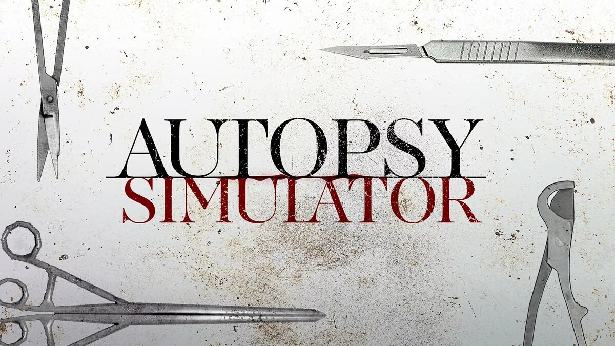 Арт из Autopsy Simulator / Картинка 1