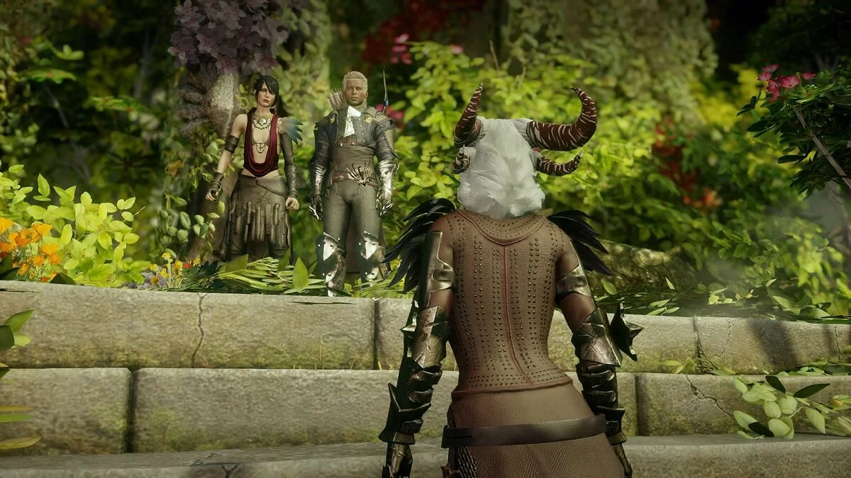 Скриншоты из Dragon Age: Inquisition / Картинка 400