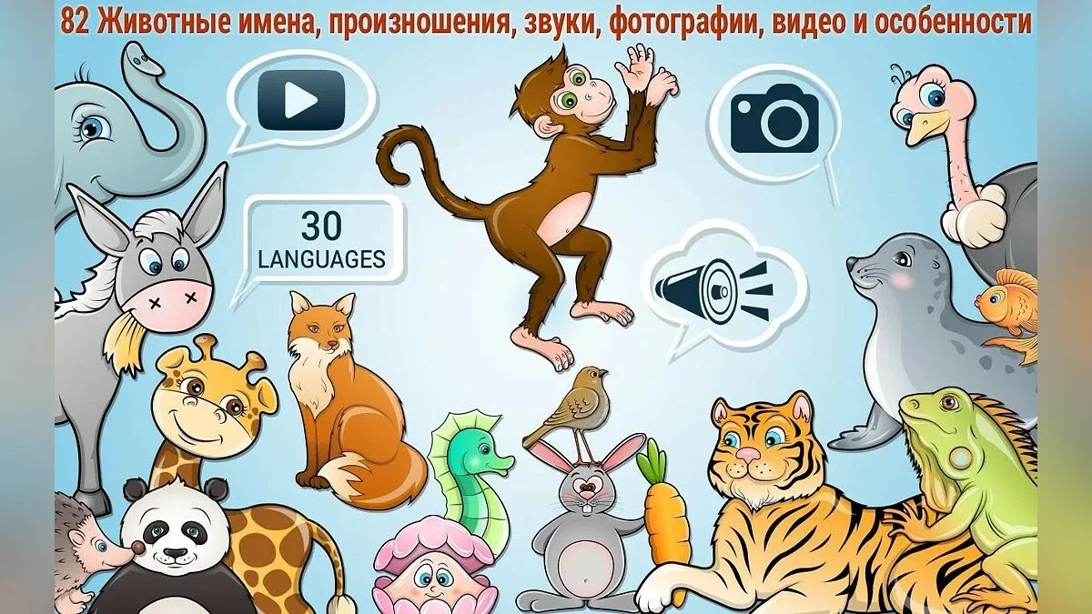 Картинка из 