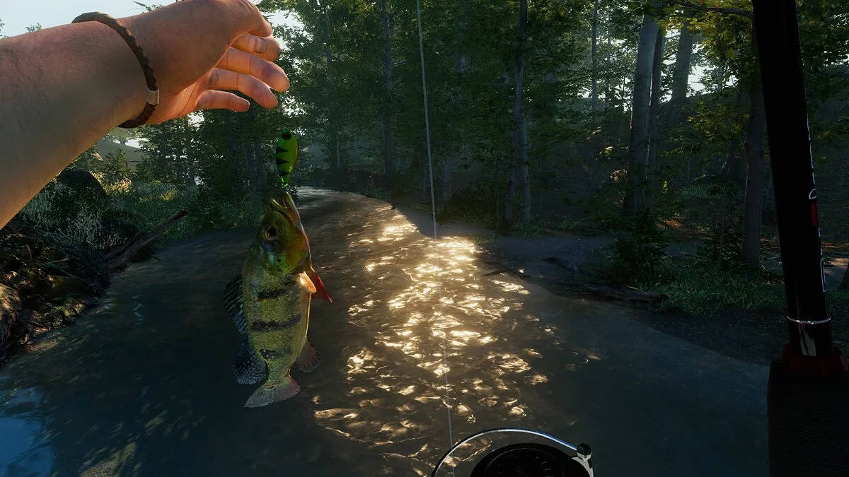 Скриншоты из Ultimate Fishing Simulator 2 / Картинка 3
