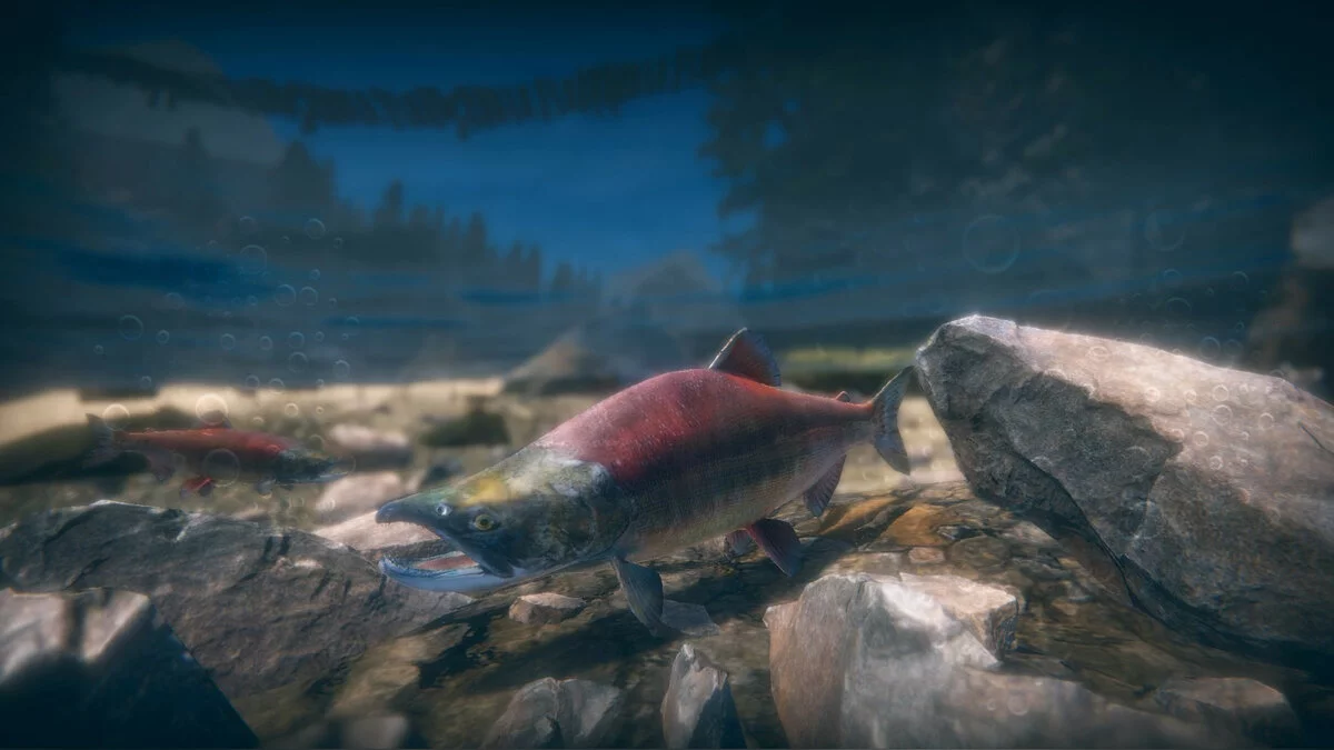 Скриншоты из Ultimate Fishing Simulator 2 / Картинка 10