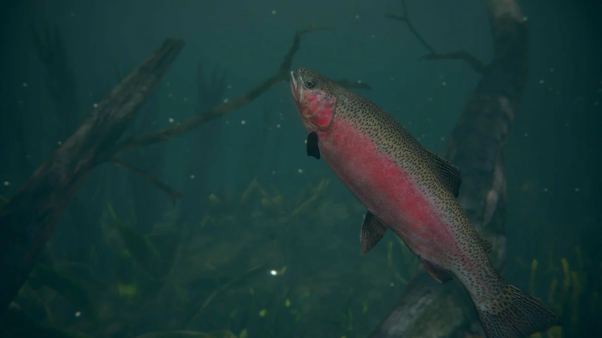 Скриншоты из Ultimate Fishing Simulator 2 / Картинка 25