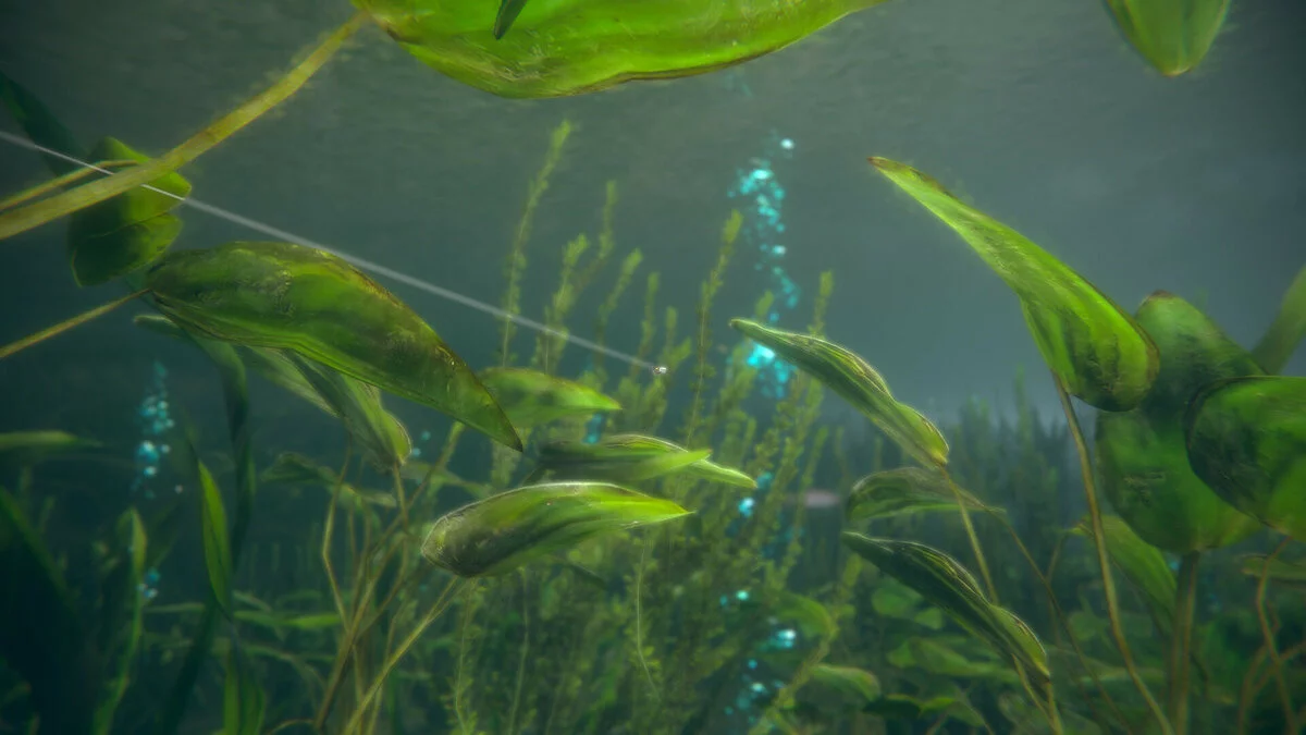 Скриншоты из Ultimate Fishing Simulator 2 / Картинка 34