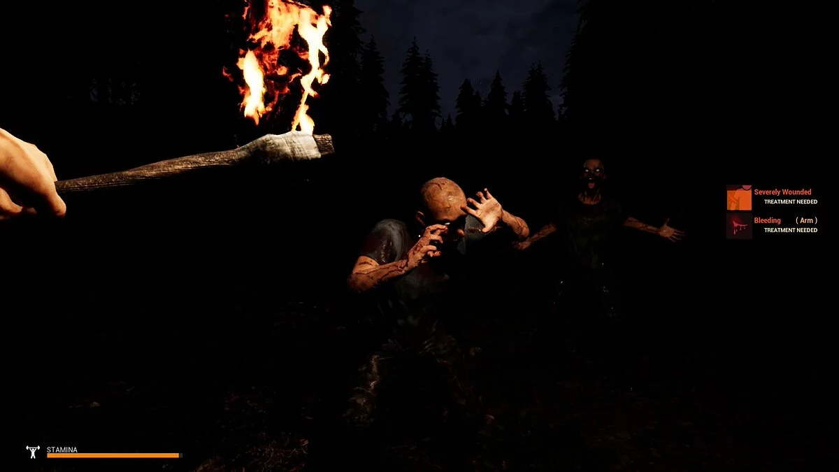 Скриншоты из Mist Survival / Картинка 3