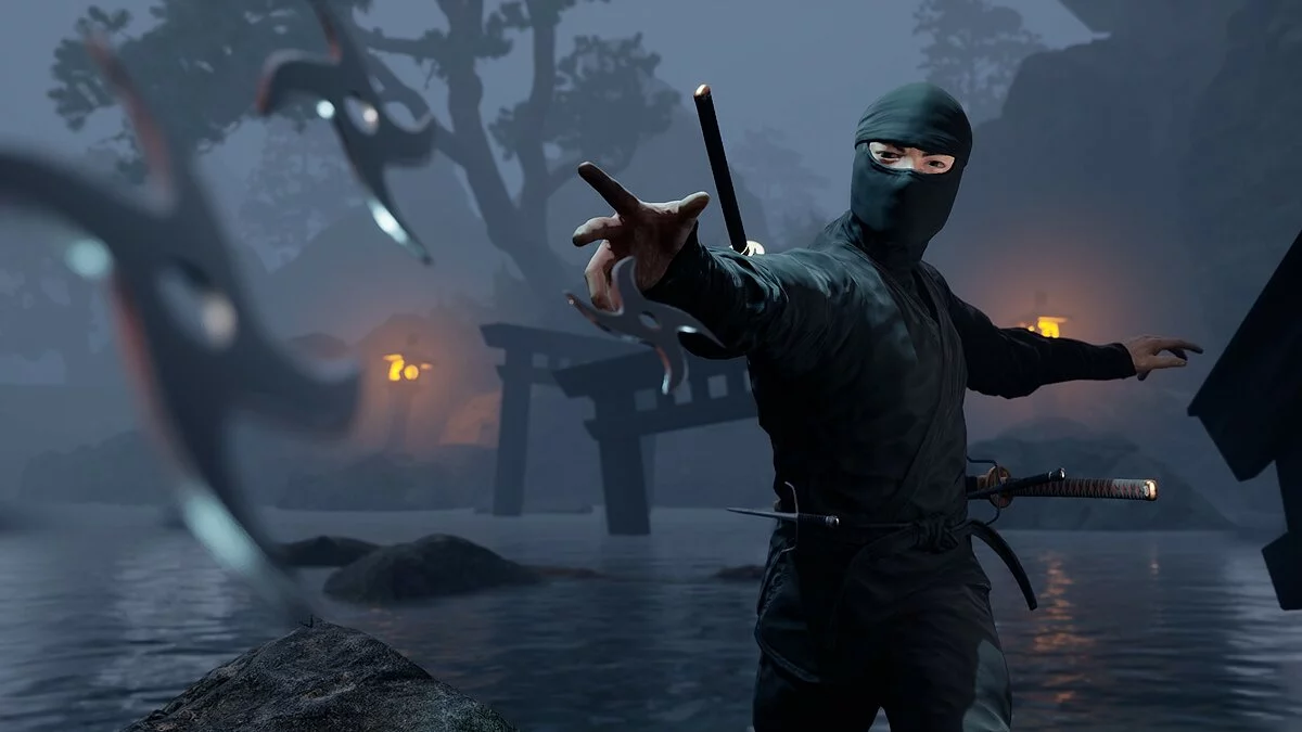 Скриншоты из Ninja Simulator / Картинка 6