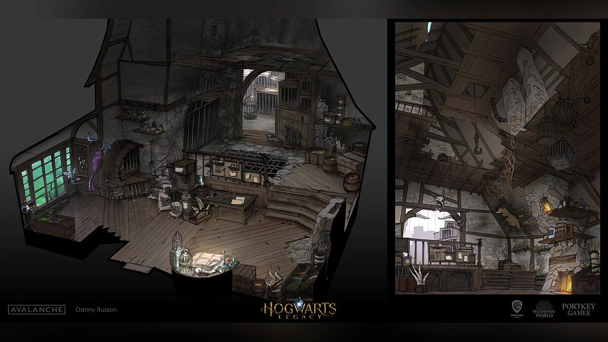 Арт из Hogwarts Legacy / Картинка 151