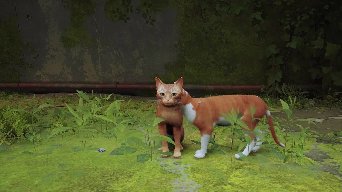 Скриншоты из Stray / Картинка 26