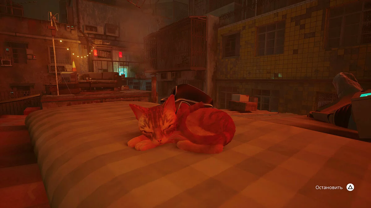 Скриншоты из Stray / Картинка 43