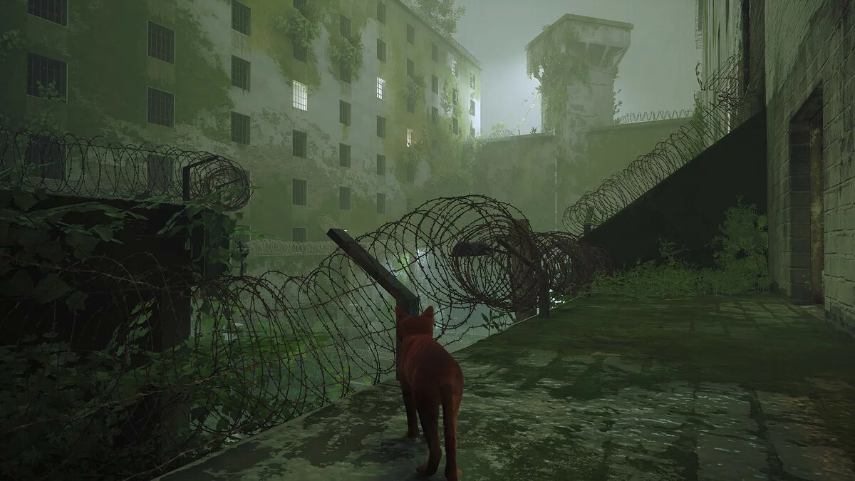Скриншоты из Stray / Картинка 75