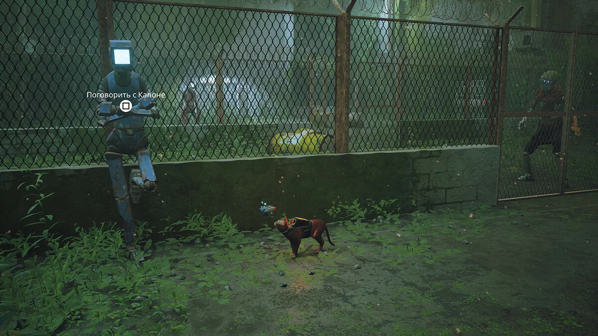 Скриншоты из Stray / Картинка 76