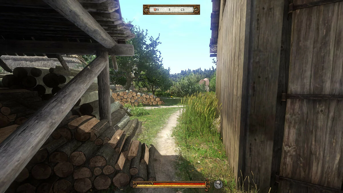 Скриншоты из Kingdom Come: Deliverance / Картинка 136