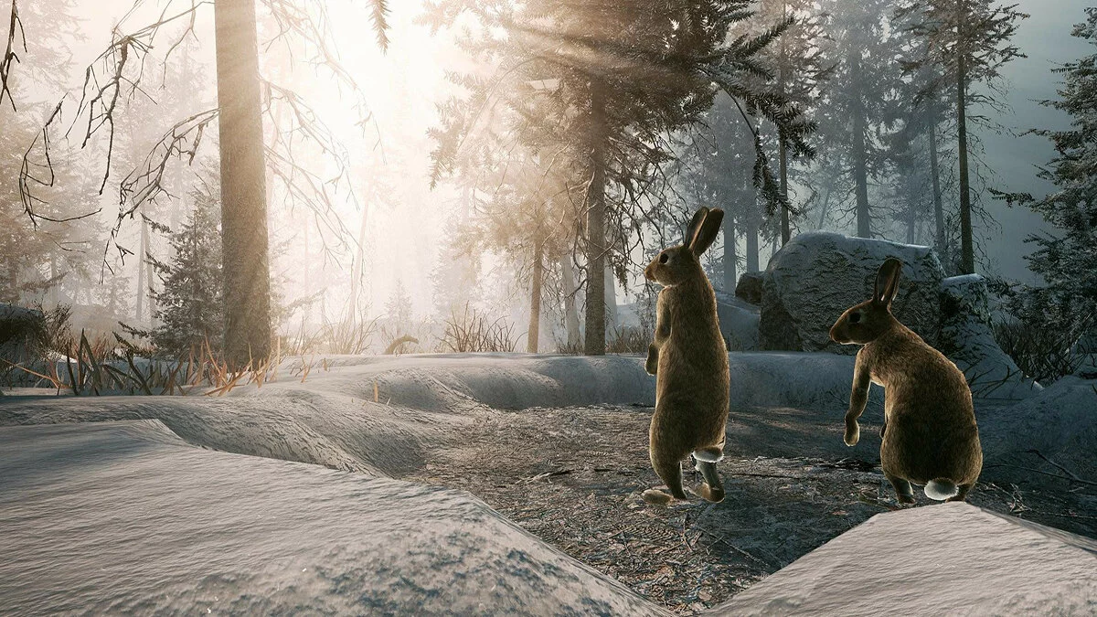 Скриншоты из Winter Survival / Картинка 12