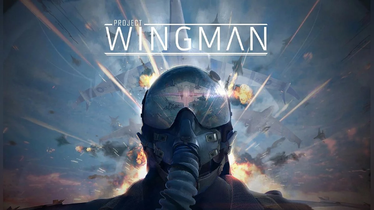 Арт из Project Wingman / Картинка 1
