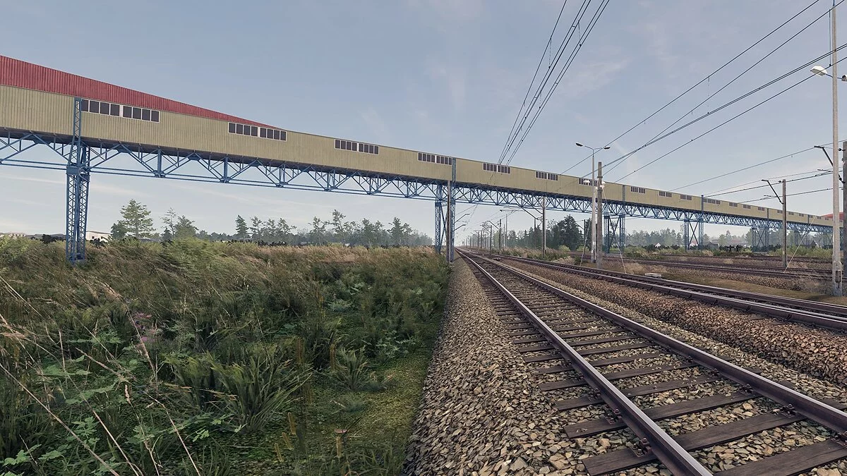 Скриншоты из SimRail - The Railway Simulator / Картинка 14