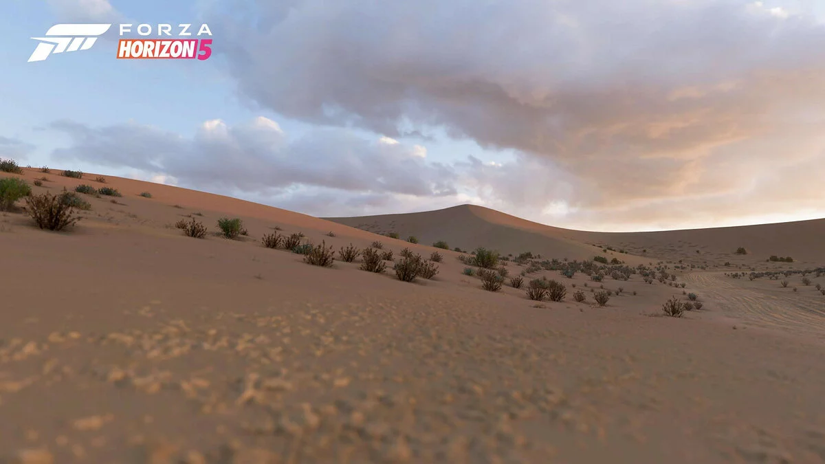 Скриншоты из Forza Horizon 5 / Картинка 13