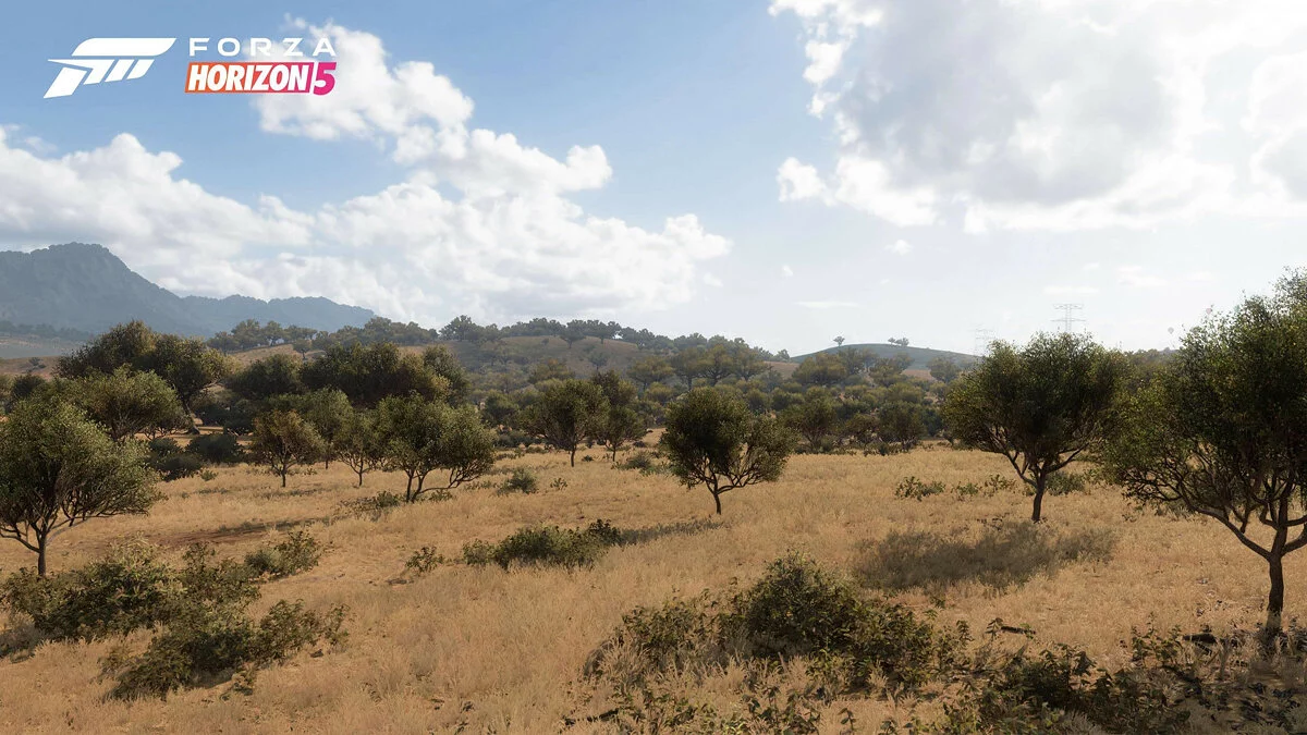 Скриншоты из Forza Horizon 5 / Картинка 19