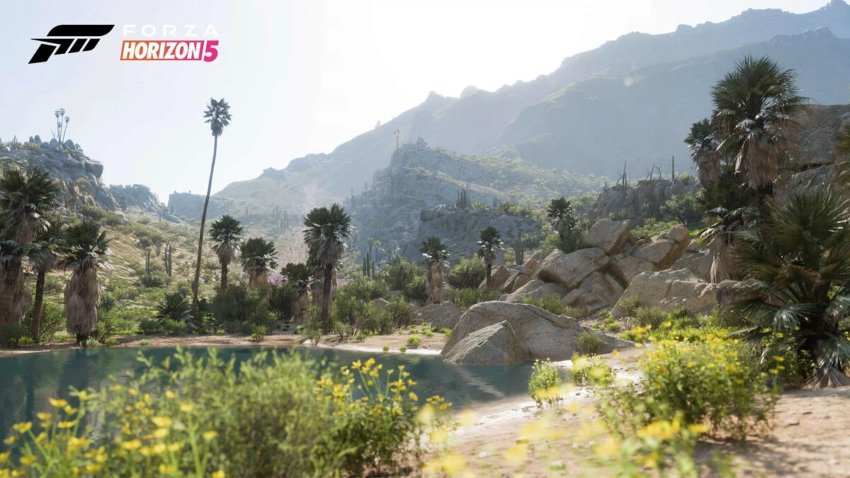 Скриншоты из Forza Horizon 5 / Картинка 20