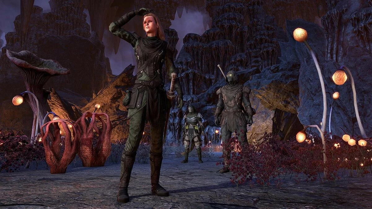 Скриншоты из The Elder Scrolls Online: Blackwood / Картинка 8