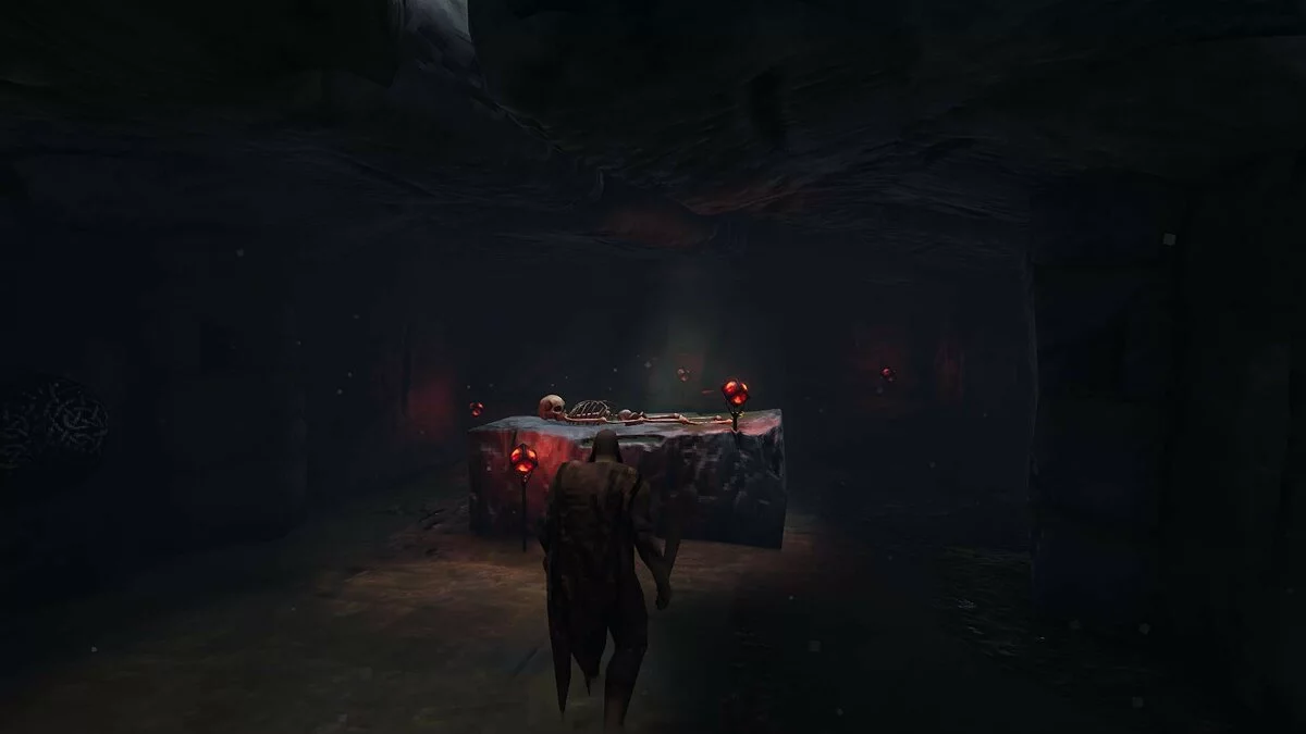 Скриншоты из Valheim / Картинка 17