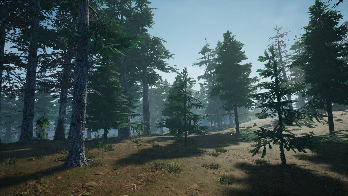 Скриншоты из Mushroom Picker Simulator / Картинка 12