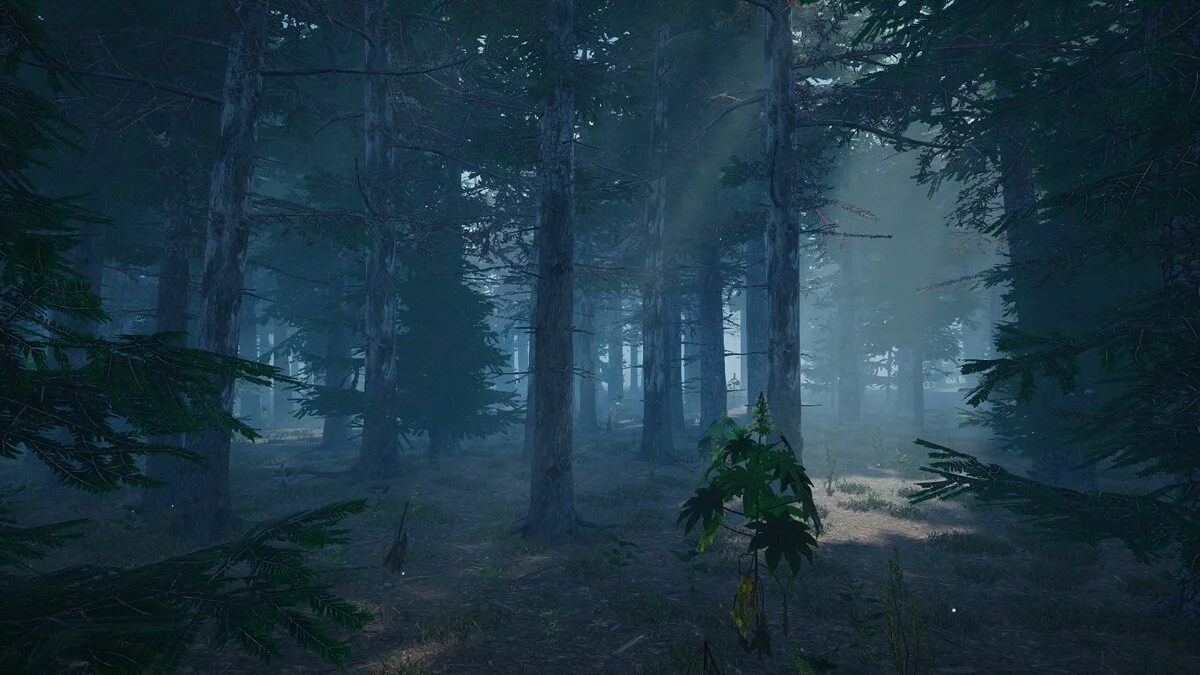 Скриншоты из Mushroom Picker Simulator / Картинка 13