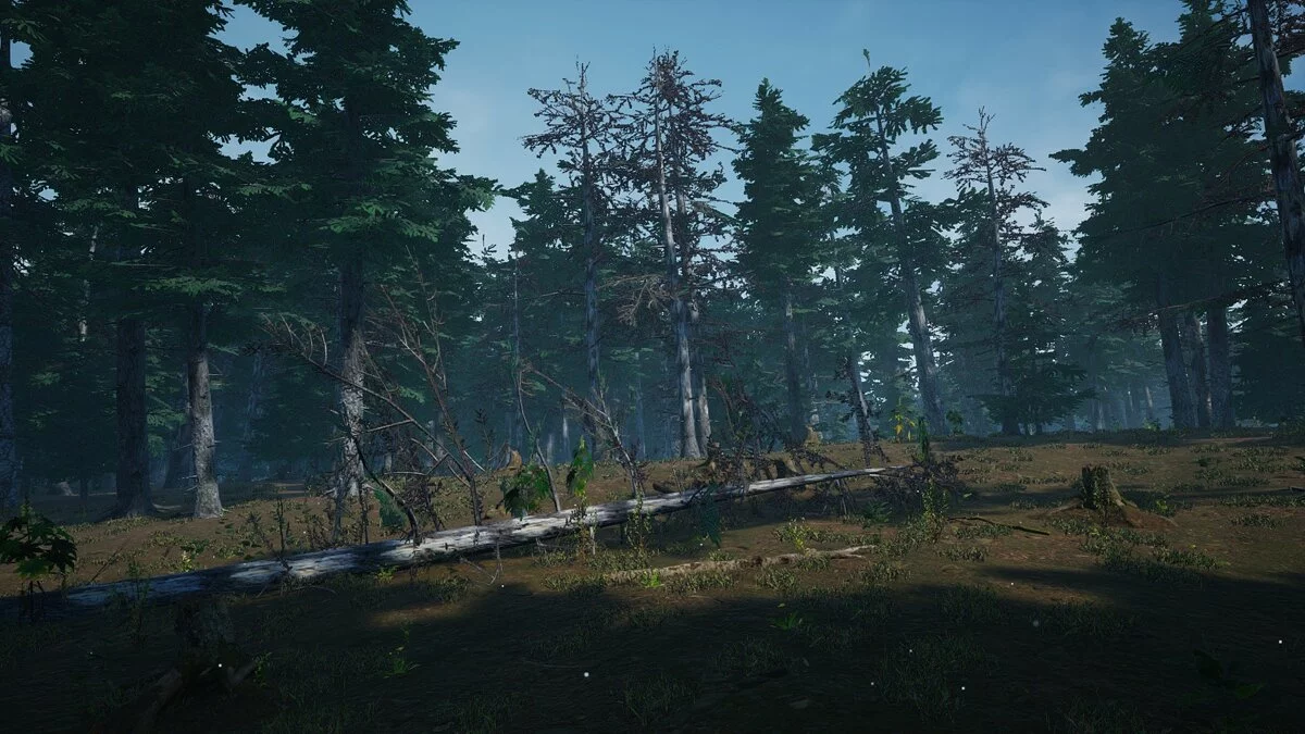 Скриншоты из Mushroom Picker Simulator / Картинка 14