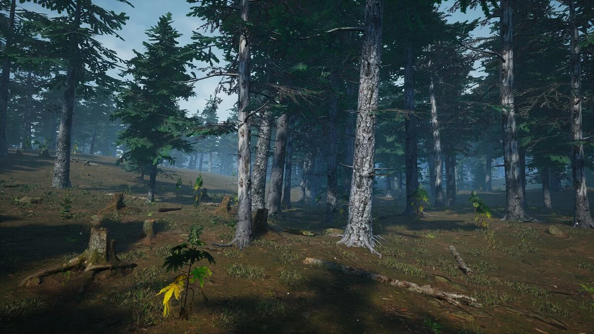 Скриншоты из Mushroom Picker Simulator / Картинка 15