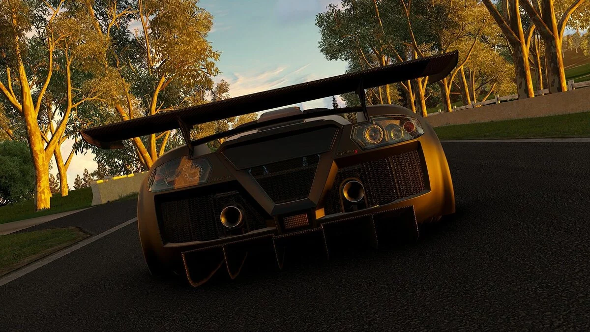 Скриншоты из Project CARS / Картинка 478