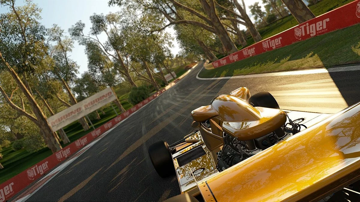 Скриншоты из Project CARS / Картинка 465
