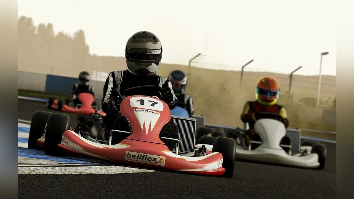Скриншоты из Project CARS / Картинка 1196