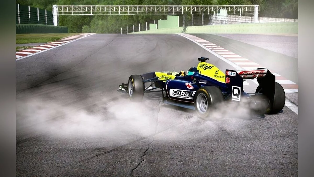 Скриншоты из Project CARS / Картинка 1737