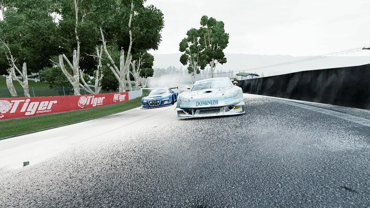 Скриншоты из Project CARS / Картинка 1382