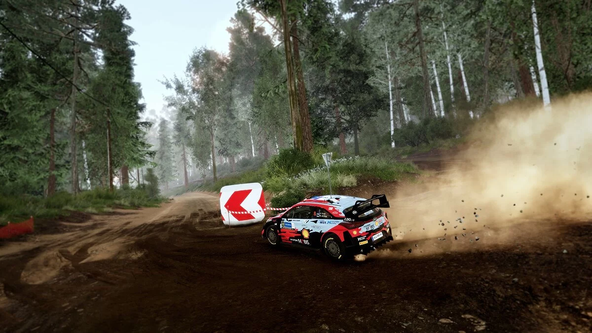 Скриншоты из WRC 10 / Картинка 11