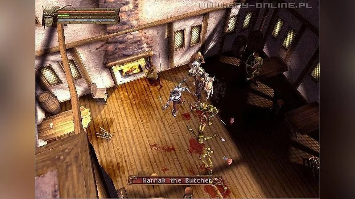 Скриншоты из Baldur's Gate: Dark Alliance / Картинка 49