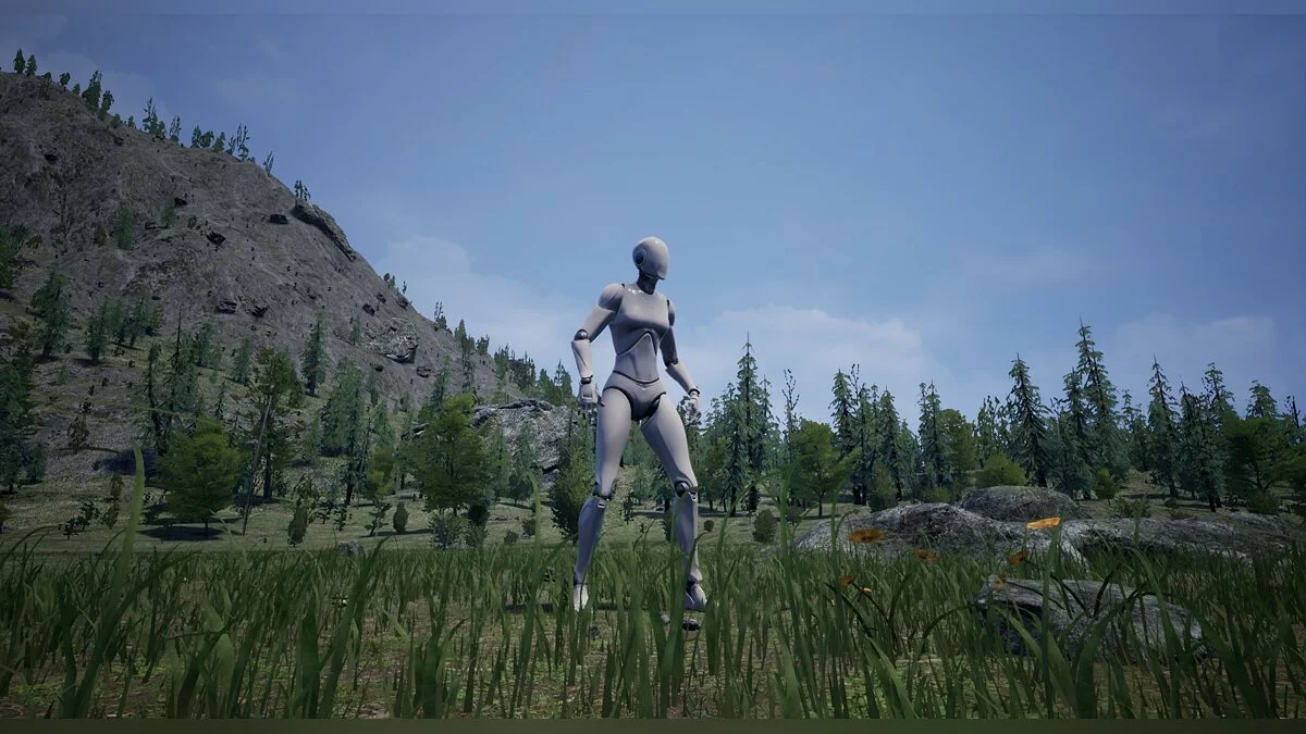 Картинка из 