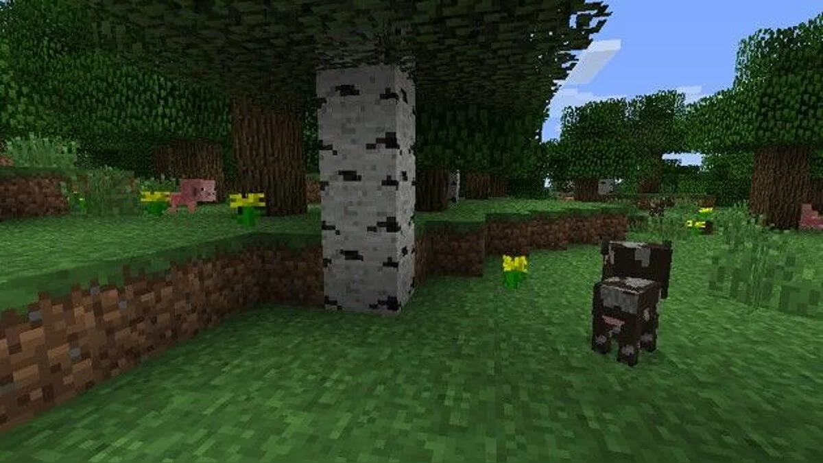 Скриншоты из Minecraft / Картинка 37