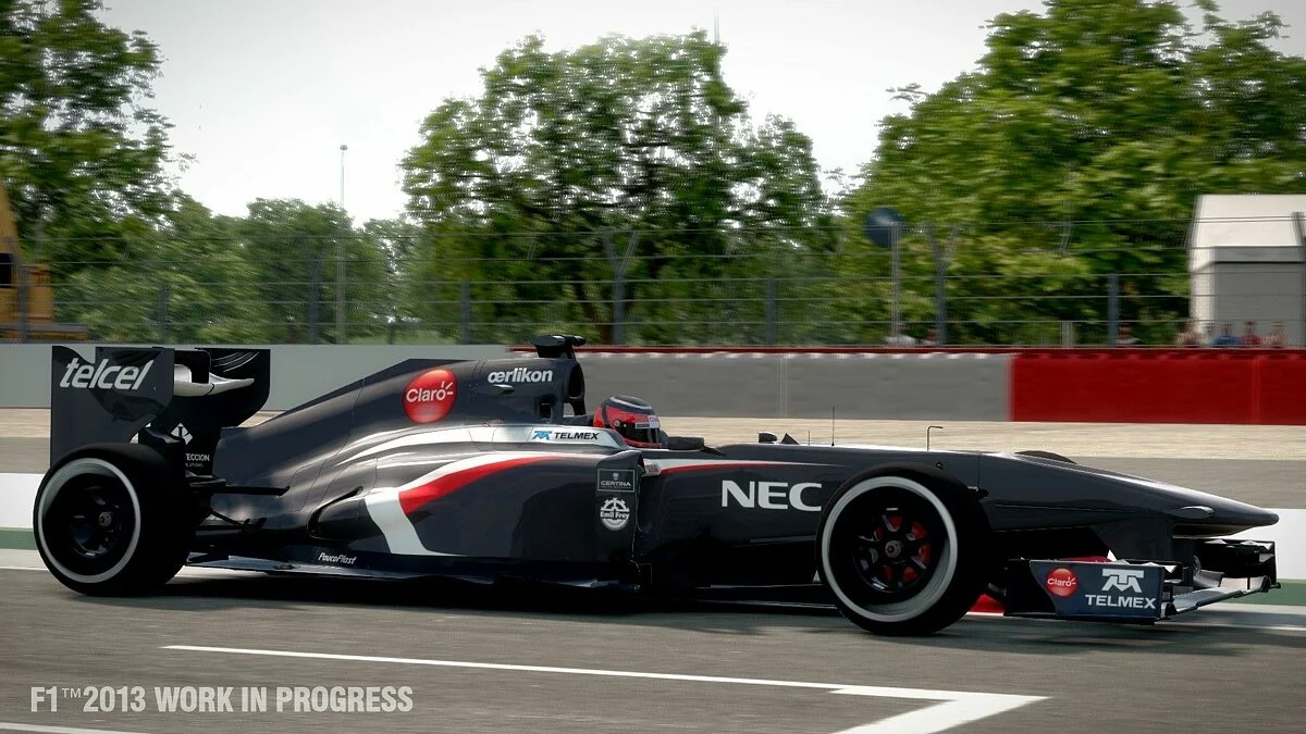 Скриншоты из F1 2013 / Картинка 8