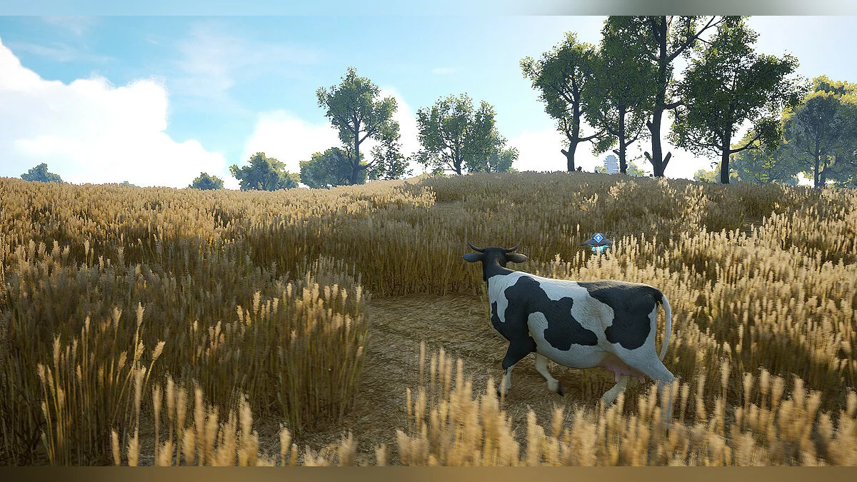 Скриншоты из Quiet Farm / Картинка 10