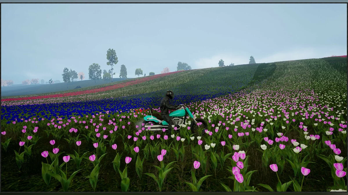 Скриншоты из Motorcycle Travel Simulator / Картинка 43
